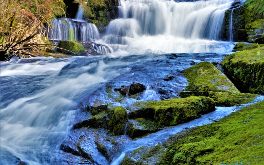 Took a Short Hike at Alsea Falls In Oregon