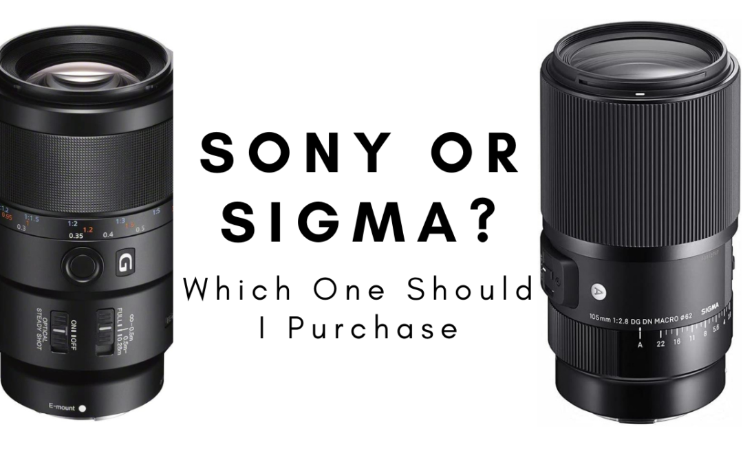 Which Macro Lens Should I Get?